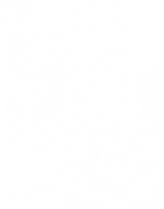 Celtic Green Energy : Project Management