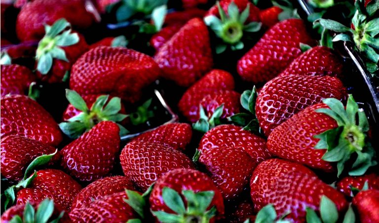 Celtic Green Energy: Horticulture- Fruit processing