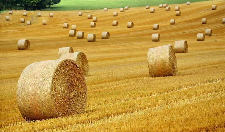 Celtic Green Energy: Agriculture - Arable & Fodder