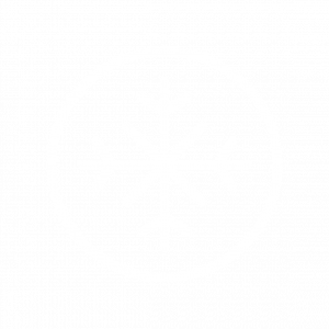 Ice Logo