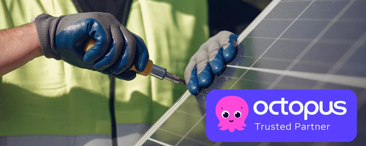 Octopus Energy In Partnership with Celtic Green Energy